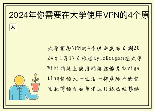 2024年你需要在大学使用VPN的4个原因 