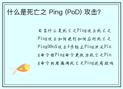 什么是死亡之 Ping (PoD) 攻击？