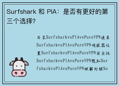 Surfshark 和 PIA：是否有更好的第三个选择？