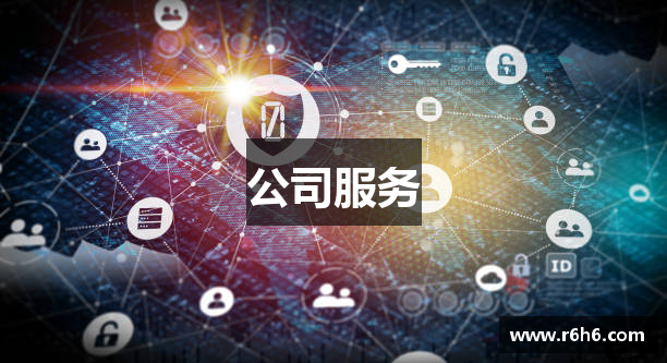 公司服务
